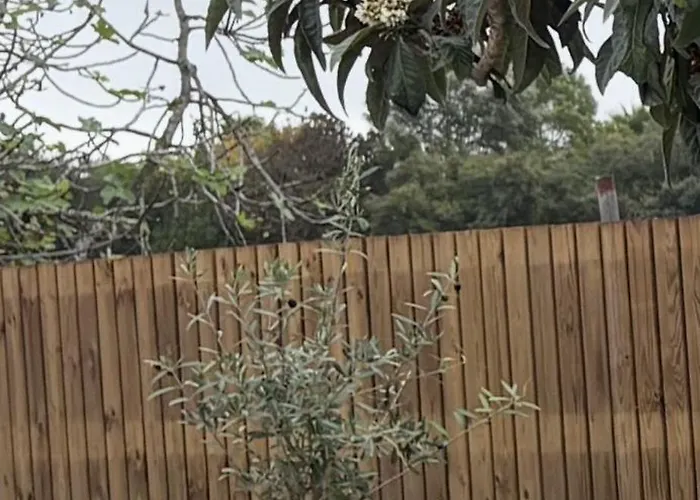 Casa Orquideas Meco Дом отдыха *