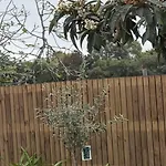 Casa Orquideas Meco Semesterbostad *