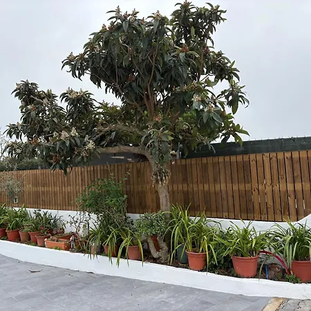 Casa Orquídeas Meco